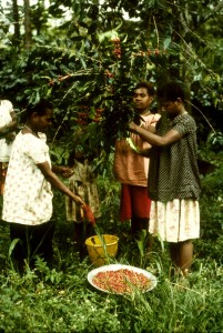Picking-Cherries